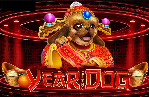 year-of-the-dog-pic-intro
