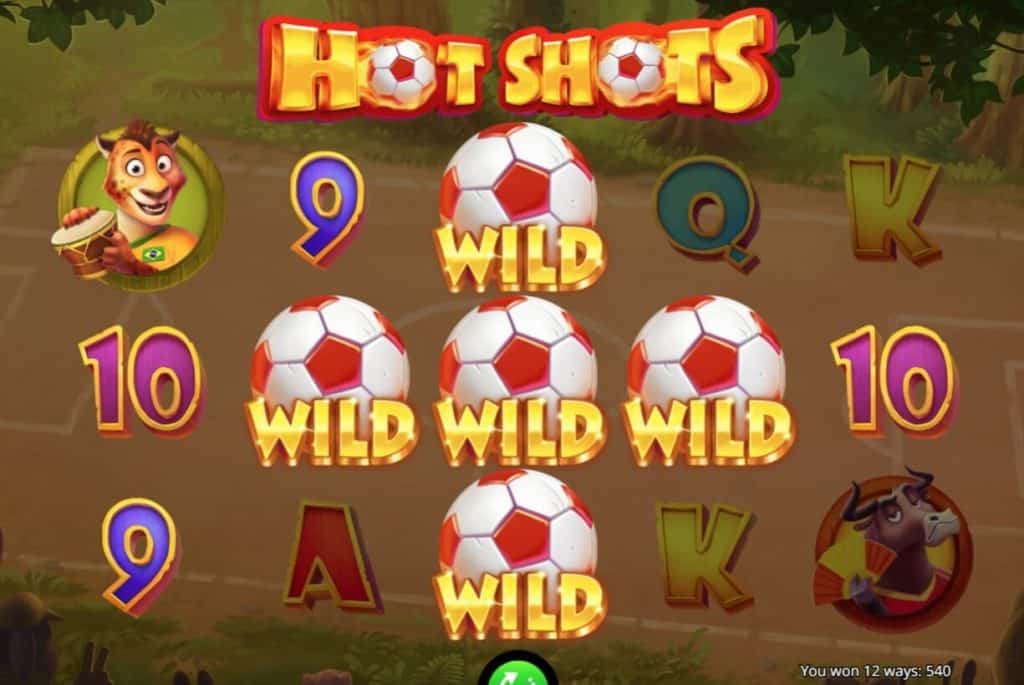 Hot Shots Winning Wild